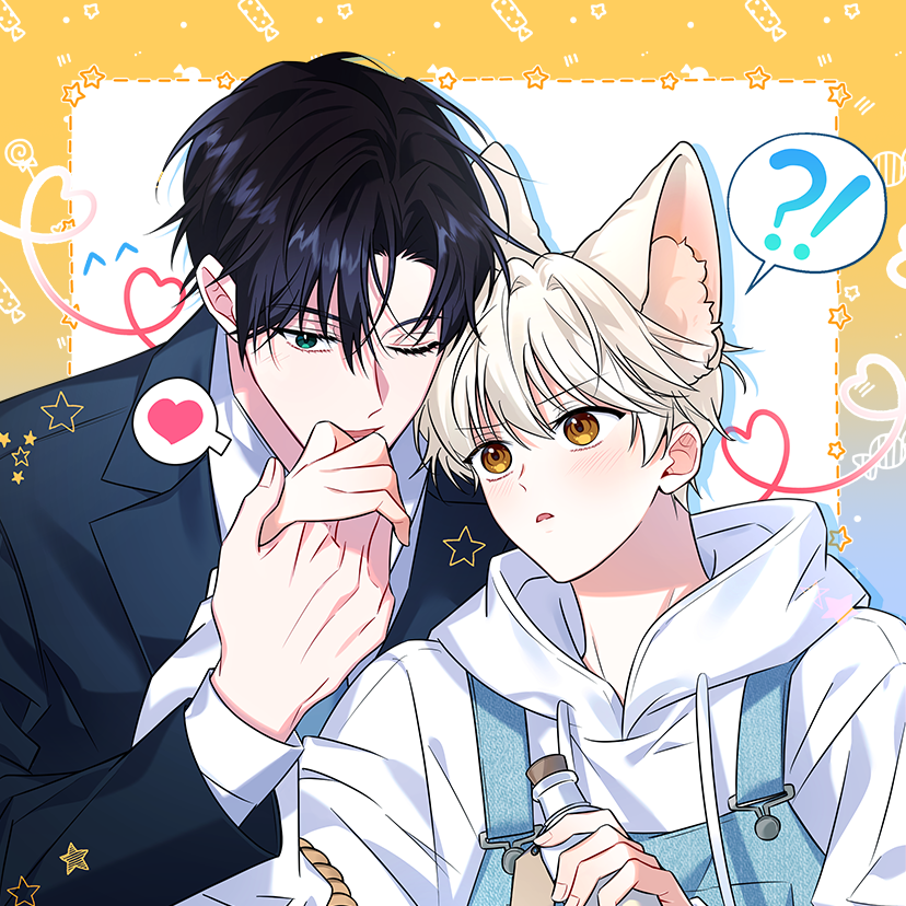 The Fox's Love Refresher