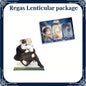 Regas Lenticular package (option 2)